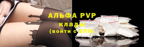 стаф Елабуга