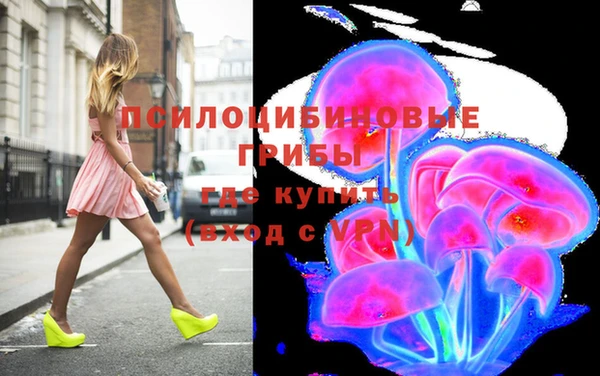 прущие крисы Ельня