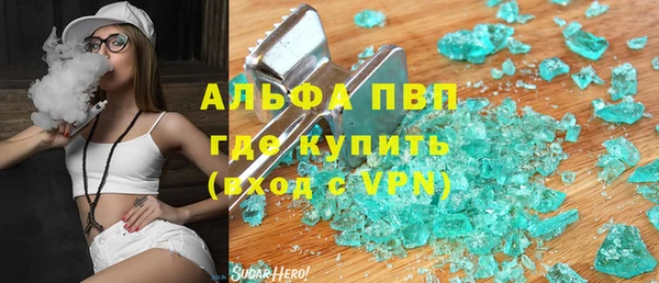 прущие крисы Ельня