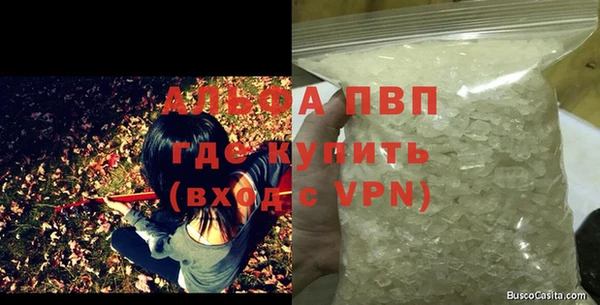прущие крисы Ельня