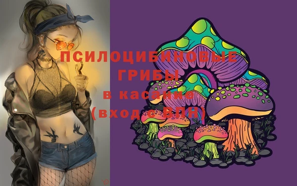 альфа пвп Усинск