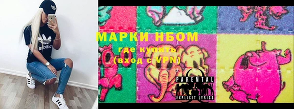стаф Елабуга