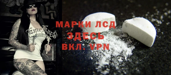 стаф Елабуга