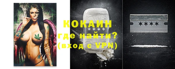 прущие крисы Ельня