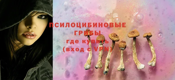 прущие крисы Ельня