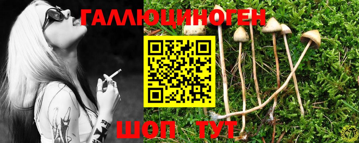 Псилоцибиновые грибы Psilocybe Слободской