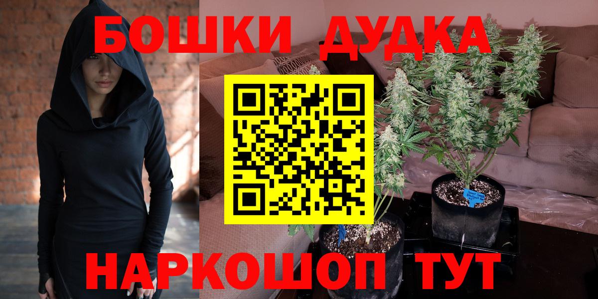 Бошки марихуана марихуана  Бошки Шишки план  Вход с VPN  Слободской  Каннабис ГИДРОПОН 